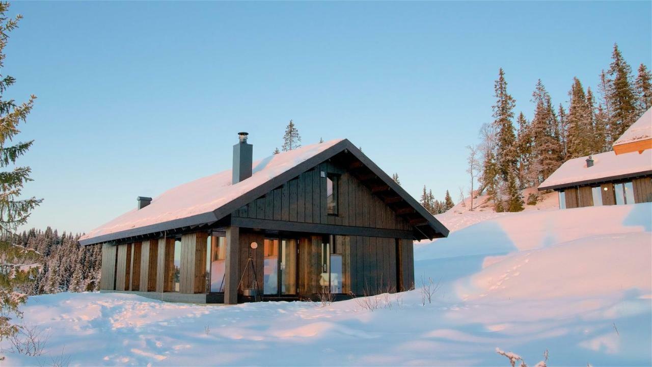 Gaustatoppen BookingGaustablikk エクステリア 写真